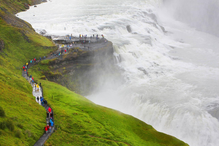 Reykjavik: 8-Day Iceland Ring Road Guided Small Group Tour