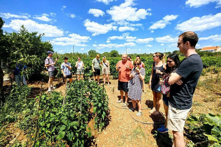 Krka waterfalls tour with lunch from Split Krka waterfalls tour with lunch from Split 2026