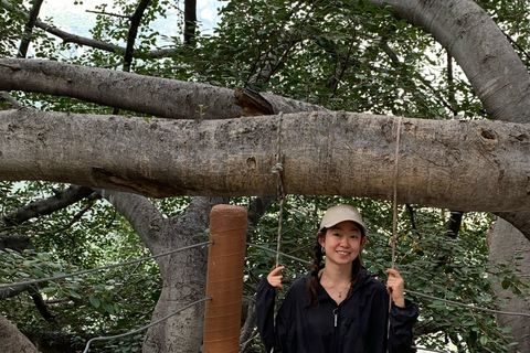 Depuis Mexico : sources chaudes et bains thermaux dans les grottes de TolantongoAu départ de Mexico : sources chaudes et bains thermaux dans les grottes de Tolantongo