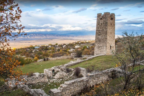 Tbilisi: Mtskheta, Armazi Fortress & Saakadze Tour