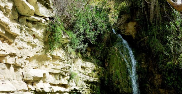 Private Jeep Safari Turtle Adventure & Adonis Waterfalls