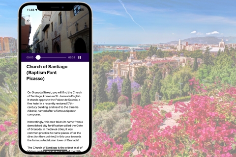 Ticket geboorteplaats Picasso + rondleiding Malaga mobiele app