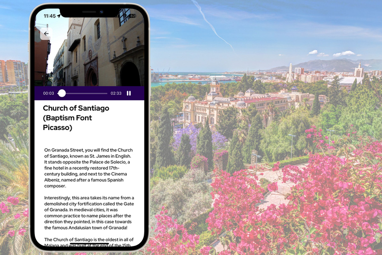 Picasso birthplace museum ticket + Malaga mobile-app tour