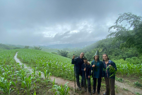 Chiang Rai: 1-Day Trekking and Longtail Boat Trip