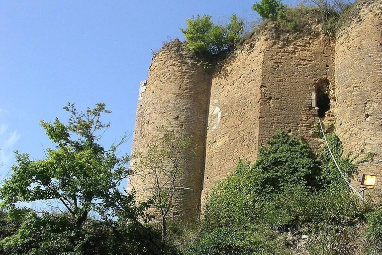 Luxembourg: Thermal Spa, Castle and Wine Private Day Tour