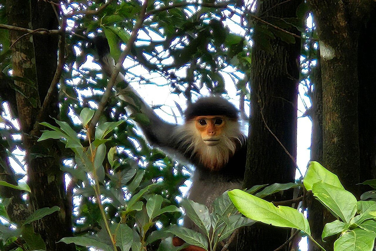 From Hue/Da Nang: Bach Ma National Park Luxury Trekking TourFrom Da Nang : Bach Ma National Park