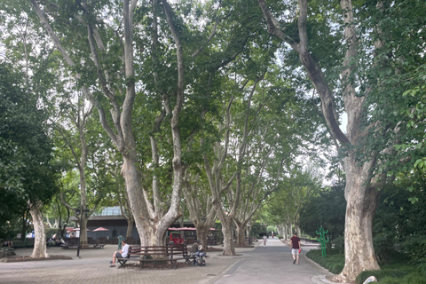 Shanghai Former French Consession Guided Walking Tour