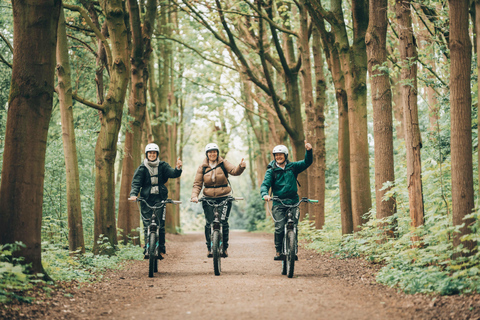 Ghent: Green Snake E-Step Tour with Local Guide