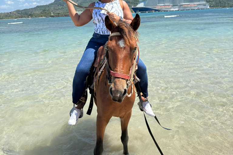 Puerto Plata: Coastal Horseback Ride and Local History