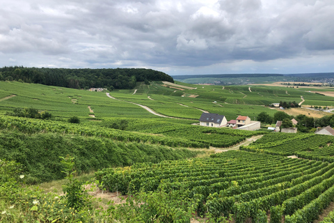 Authentic Champagne Tour: 3 vineyards, 10 Tastings & Lunch Authentic Champagne Tour : Family Vineyards & 10 Tastings