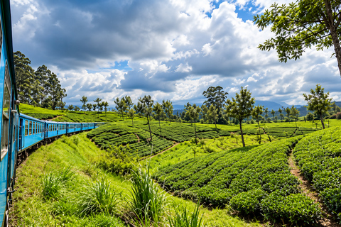 Colombo - Kandy Reserved Train Tickets with Snacks & Drinks Kandy to Colombo Scenic train Journey with Snack Pack