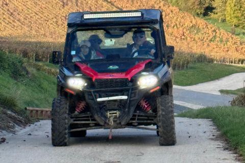 Champagne vineyards: 2-hour guided tour of the vineyards in a Buggy