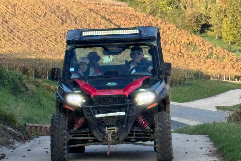 Champagne vineyards: 2-hour guided tour of the vineyards in a Buggy
