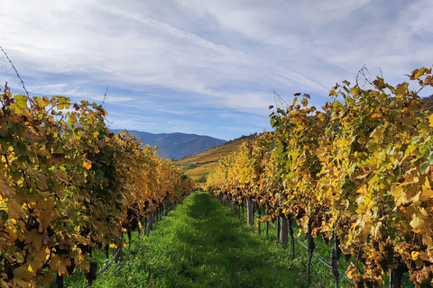 Viena: Valle del Danubio 3 Castillos y Degustación de Vinos