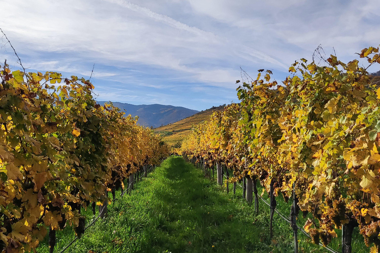 Viena: Valle del Danubio 3 Castillos y Degustación de Vinos