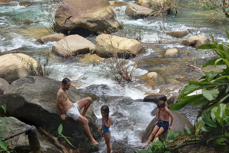 Khao Lak: Khao Sok Elephant Sanctuary and Night Jungle Walk Khao Sok Elephant Sanctuary and Night Jungle Walk