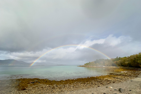 Narvik/Harstad : Excursion d&#039;une journée dans les Fjords avec arrêt à la ferme des rennes