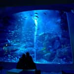 Tokyo: e-ticket per l'ingresso all'Acquario di Sumida