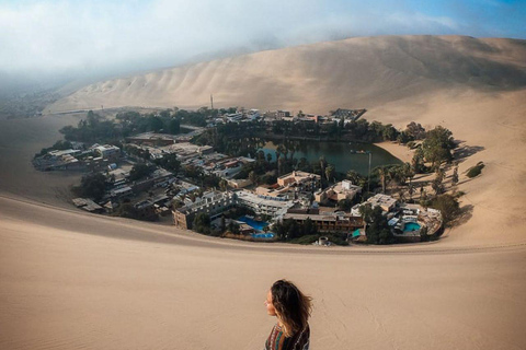 Från Paracas | Utflykt till Ica och Huacachina