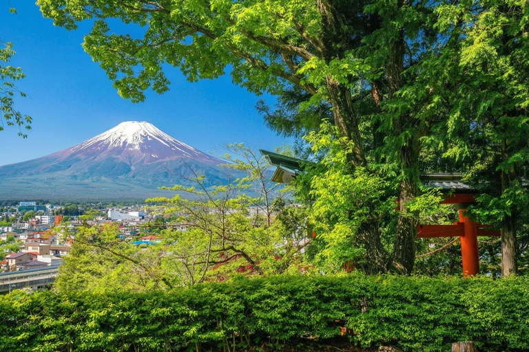 Tokyo: Mt Fuji & Oishi Park, Oshino Hakkai, Chureito Pagoda Free Karaage Chicken Set | Tokyo Station 8:00AM