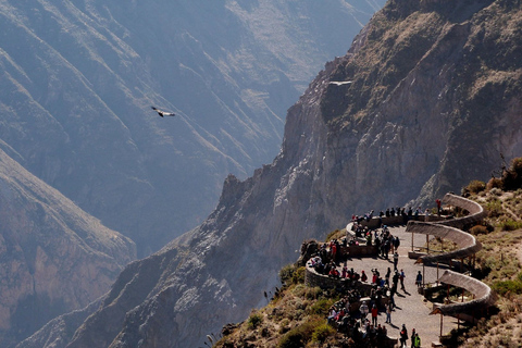 From Arequipa: Tour Fantastic to Colca Canyon |2Days/1Night|