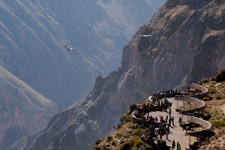 From Arequipa: Tour Fantastic to Colca Canyon |2Days/1Night|