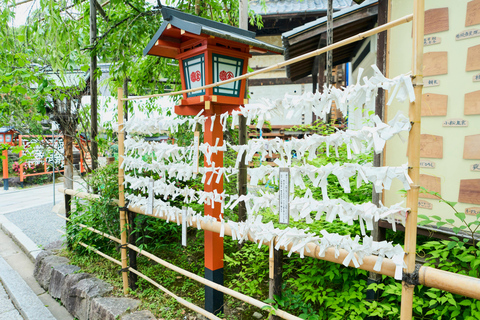 Kyoto Gion: tour a piedi di 2 ore sulla cultura e la storia delle geisha
