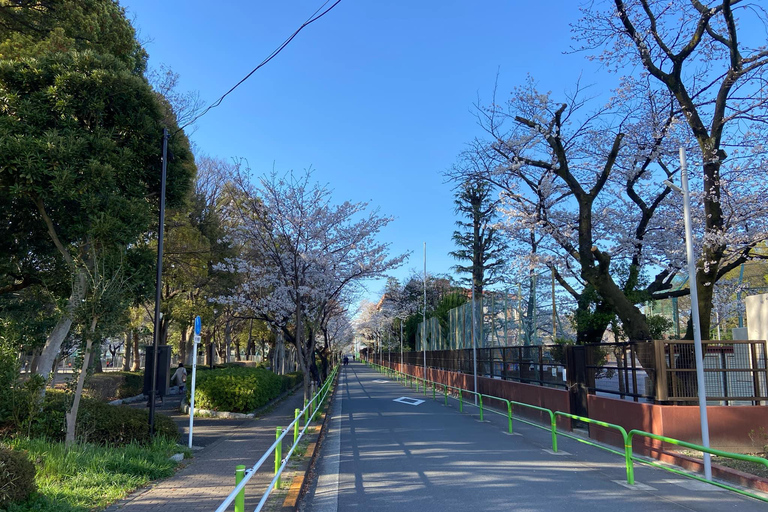 Tóquio: Explora a vida autêntica de um bairro residencial