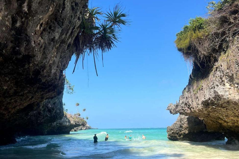 Zanzibar: Jozani forest, Sea tortoises & Mtende beach tour Private tour no Hotel pick and drop off included