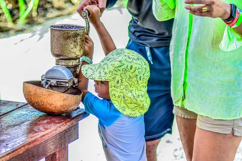 Punta Cana: Monkey Sanctuary, Farm & Cenote Swim Combo