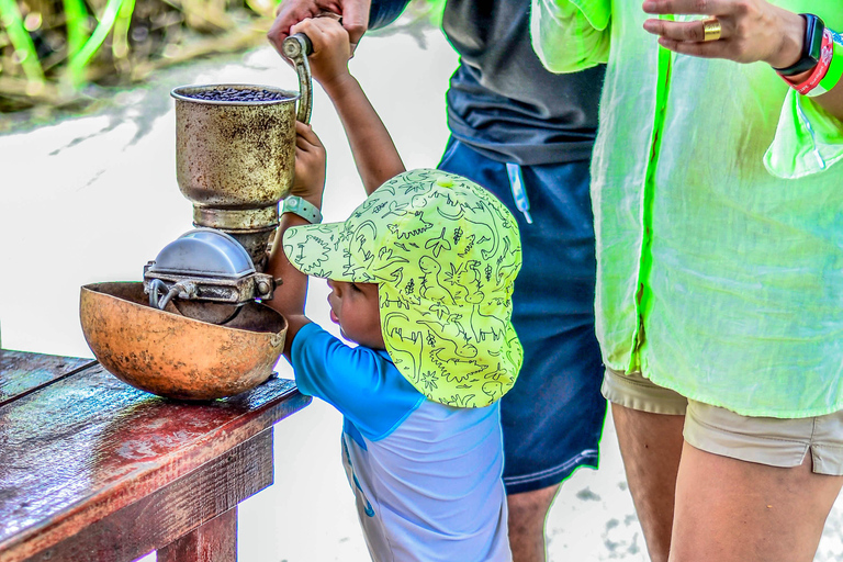 Punta Cana: Monkey Sanctuary, Farm & Cenote Swim Combo