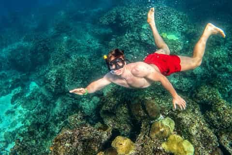 Ao Nang: A Full Day on Phi Phi's Speedboat Route + Lunch - Image 3