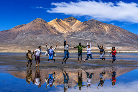 Arequipa: Salinas Lagoon and Aguada Blanca Reserve Excursion