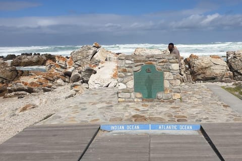 From Cape Town: Full-Day Cape Agulhas Private Tour