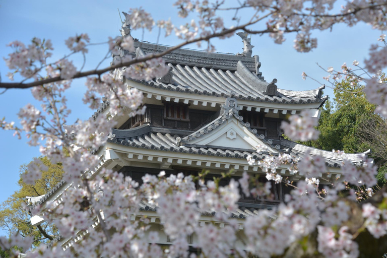 From Nagoya: Matcha, Confections, and Nishio Traditions Tour