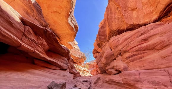 Sharm: Dahab by Jeep, Colored Canyon, ATV, Camel & Blue Hole