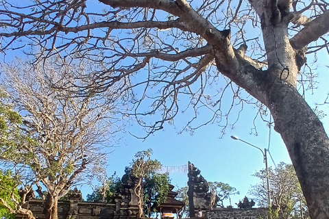 日惹：租用豪华车蜜月之旅日惹：租用豪华车，享受蜜月之旅