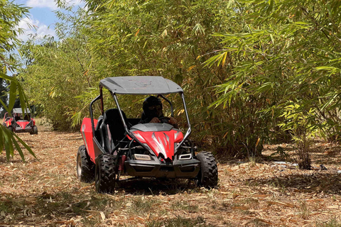 Bamboo Dune Buggy Tour