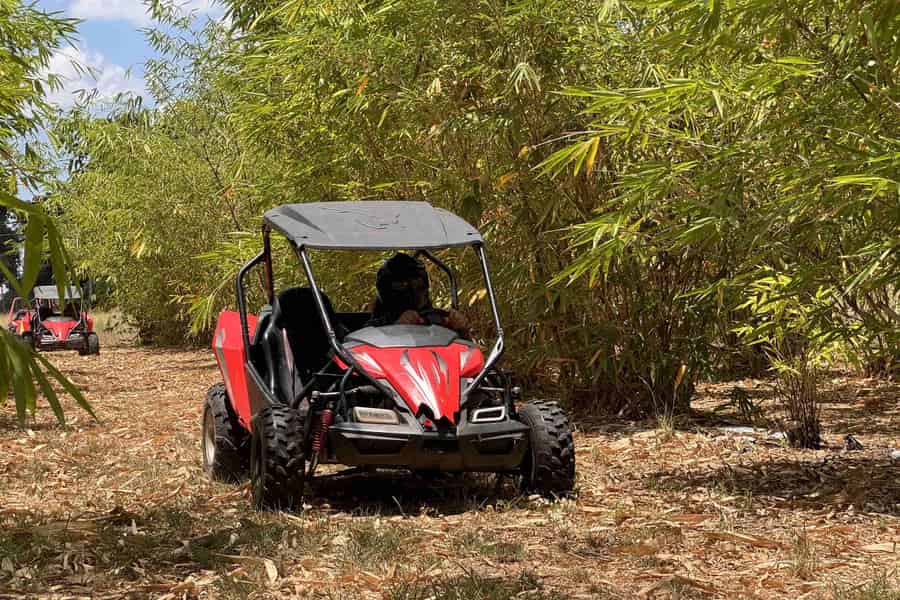 Fort Meade: Bamboo Dune Buggy Tour. Foto: GetYourGuide