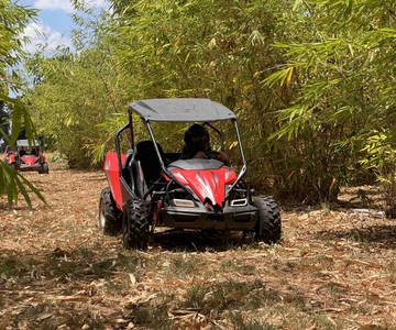 Fort Meade: Bamboo Dune Buggy Tour