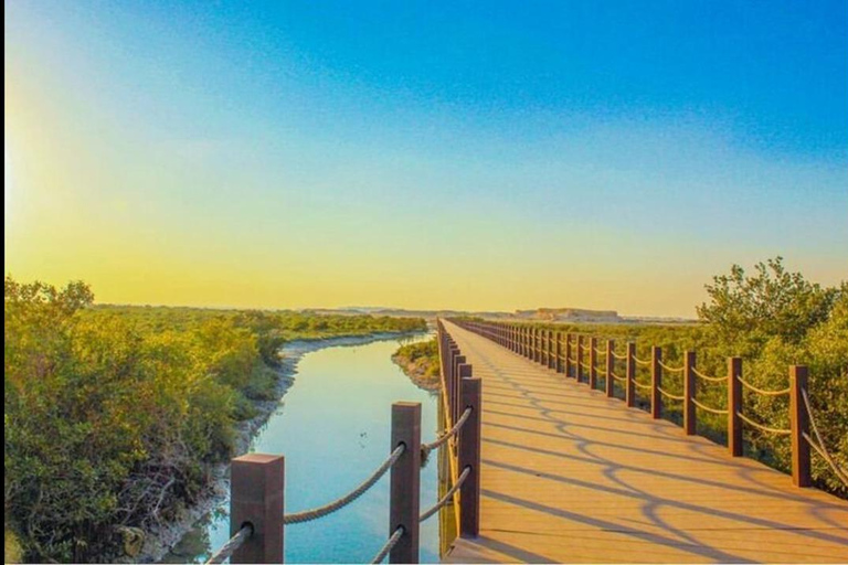 Qatar : visite du nord, île pourpre, fort de Zubara, village de Jumail