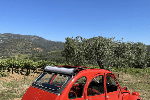 Saint-Tropez: Vintage Car Wine Tour Vintage wine tour in St-Tropez