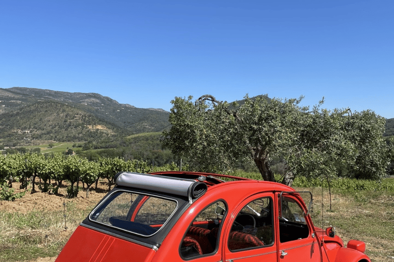 Saint-Tropez: Vintage Car Wine Tour Vintage wine tour in St-Tropez