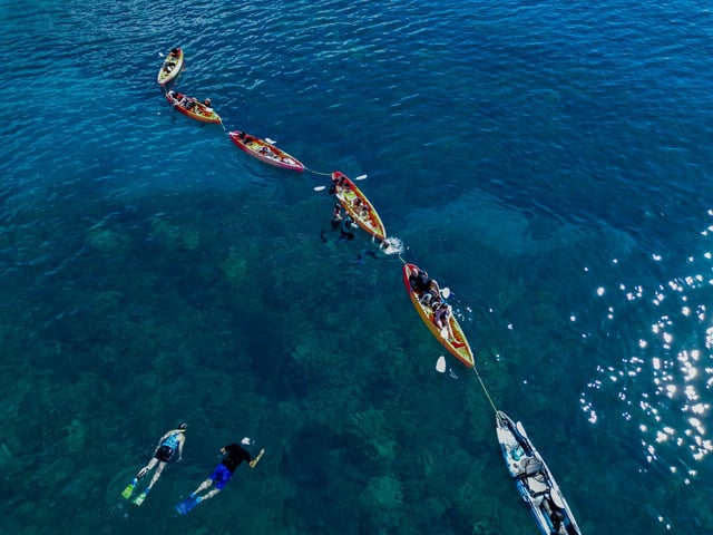 Caiac și snorkeling pe coasta Turtle Town: țestoase garantate