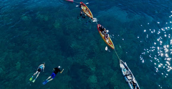 Turtle Town Coastal Kayak & Snorkel: Turtles Guaranteed