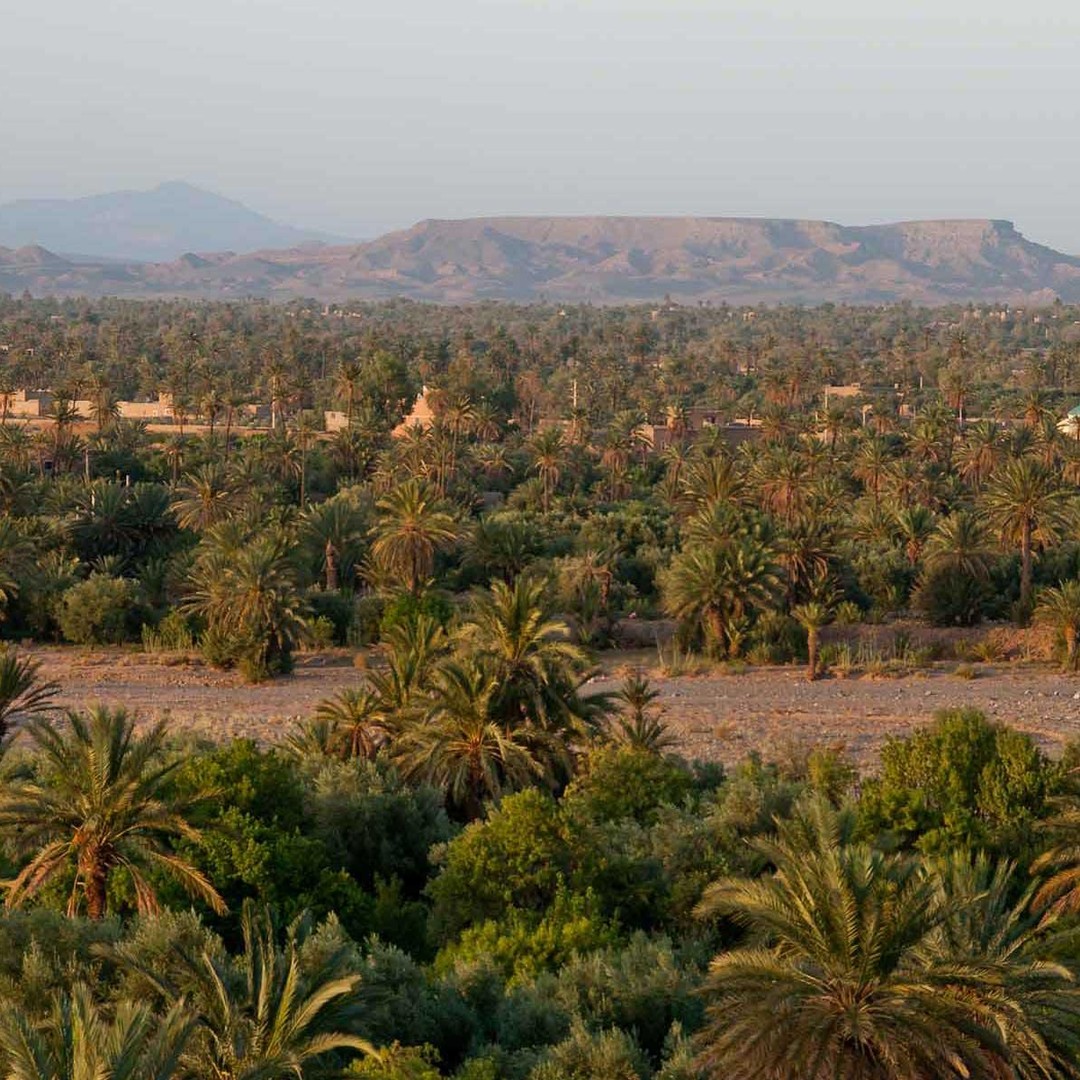 Skoura: tour en bici eléctrica por el palmeral con té y guía VTT