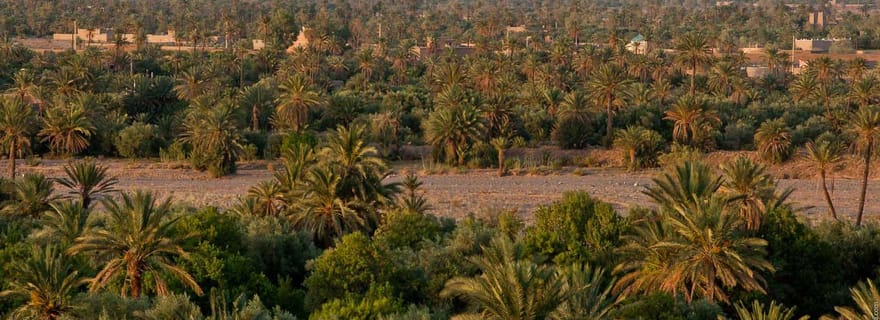 Skoura : visite guidée de la palmeraie en vélo électrique avec thé