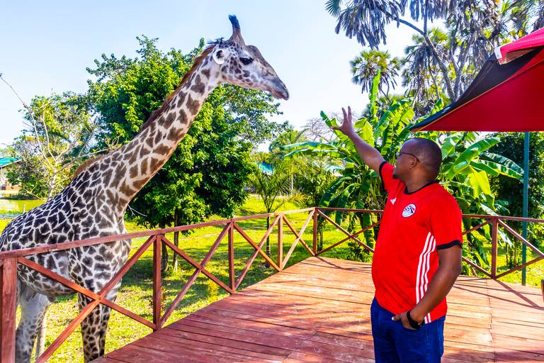 Exploring Nature's Treasures: A Private Day Trip in Diani Exploring Nature's Treasures: A Day Trip in Diani