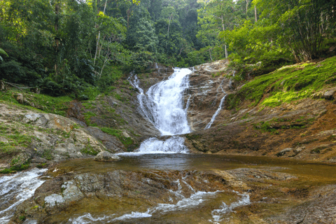 From KL: Cameron Highlands & Batu Cave Private Full-Day Tour