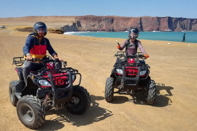 From Paracas: Ballestas Islands Tour + ATV